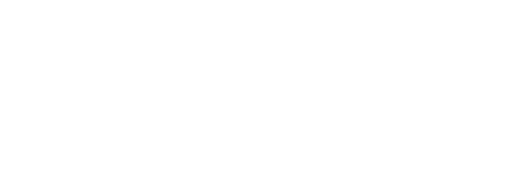 Bally logo white